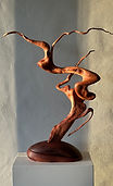 IMG_6103.jpeg