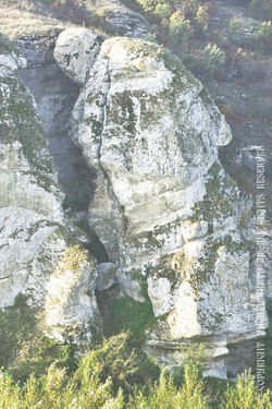 BATRANUL_TRAC-VEDERE_PESTE_LAC.jpg