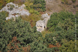 DSC_0226_1.jpg