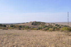 DSC_0216_5.jpg