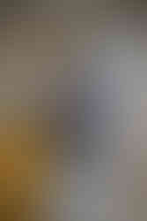 عيادة الدكتور انس العبيدي من الداخل