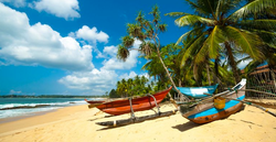 Fishing boats