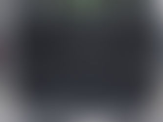 Mon laveur auto s'occupe aussi des poils d'animaux