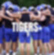 Tigers+