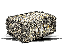 Rectangle Bales for sale