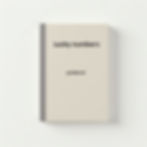 Lucky Numbers Guidebook