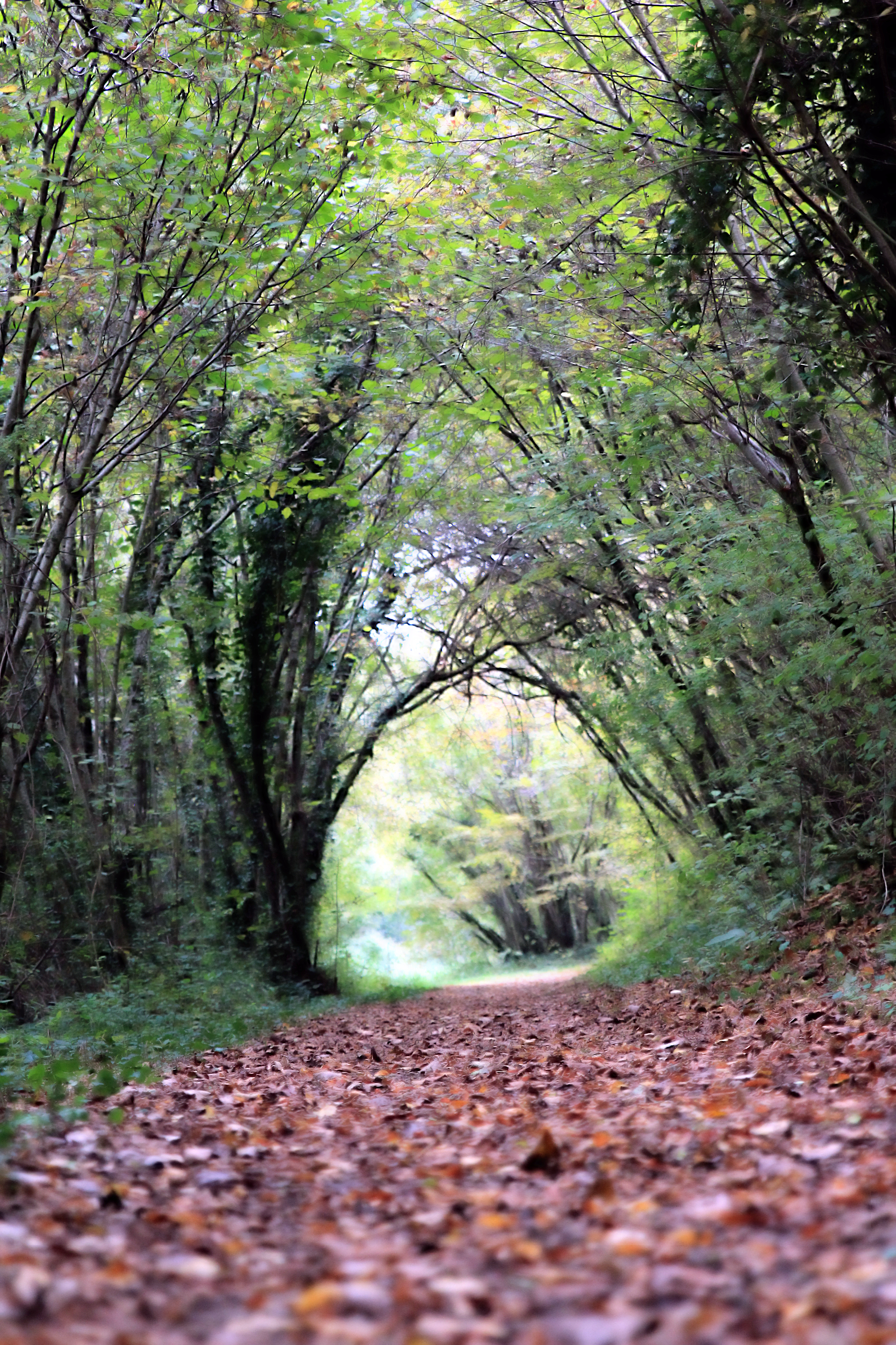 PAYSAGES