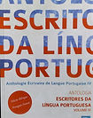 lingua nova imagem.jpeg