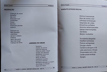 poemas sobre porto alegre.jpeg