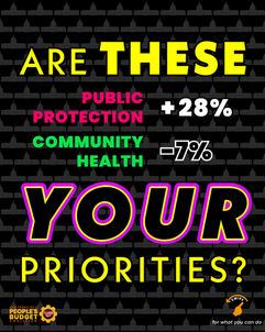 Are these--Public Protection +28%; Community Health -7%-- YOUR priorities?