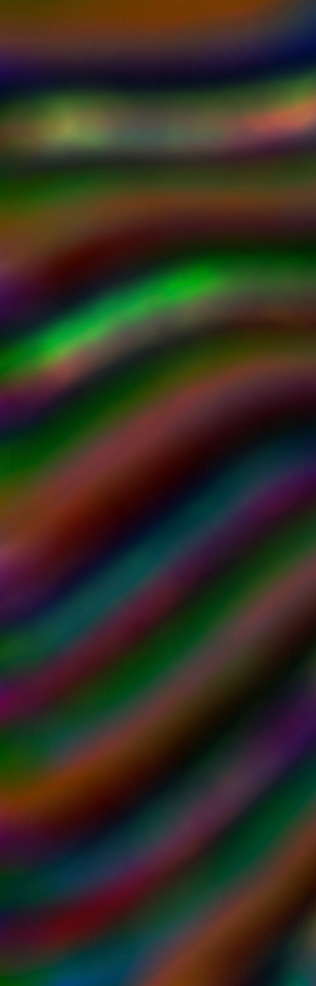 HTSE SQUIGGLE BACK 1.png