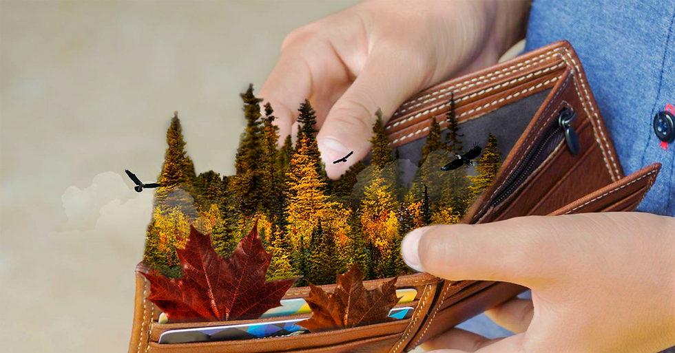 ¡Conoce la manera más fácil de crecer tu negocio en Canadá!