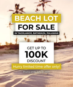 PVT2019-0033 ads
