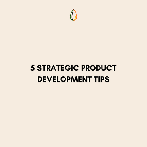 5 Strategic Product Development Tips