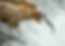 download (10).jpeg