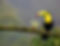 download (10).jpeg