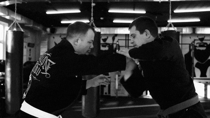 BJJ Network