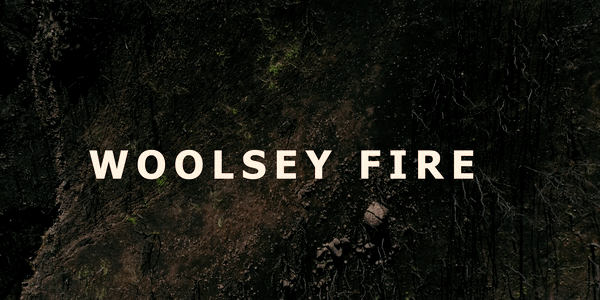 WOOLSEY FIRE