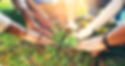 shutterstock_2507688319_edited_edited.jpg