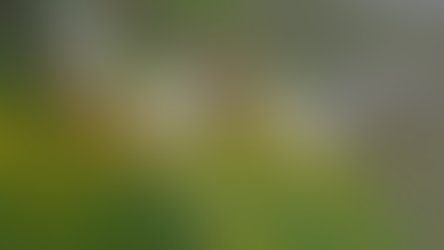 Color Grading Project 1/2020