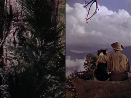 002: The Trail of the Lonesome Pine, 1936