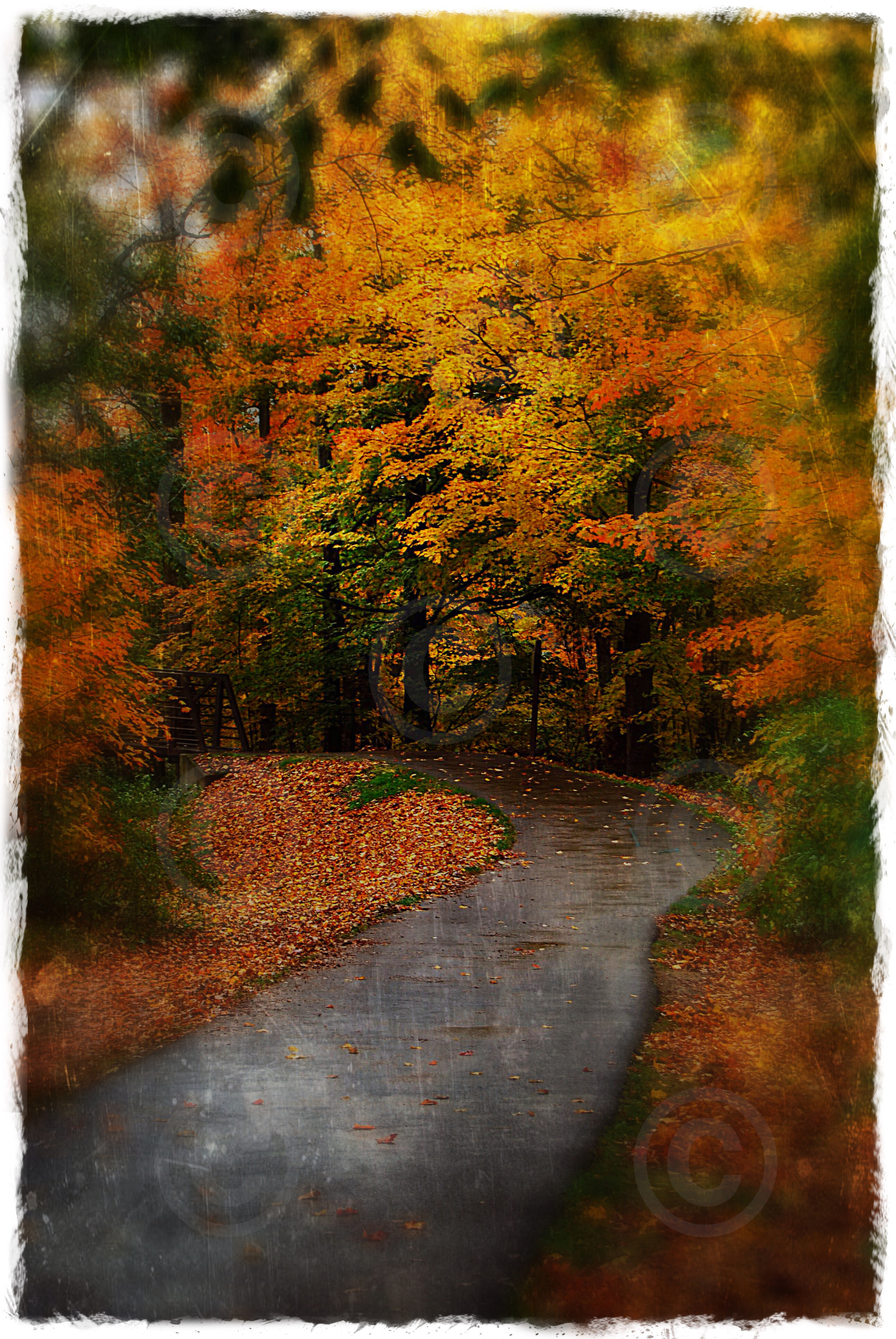 Autumn Path