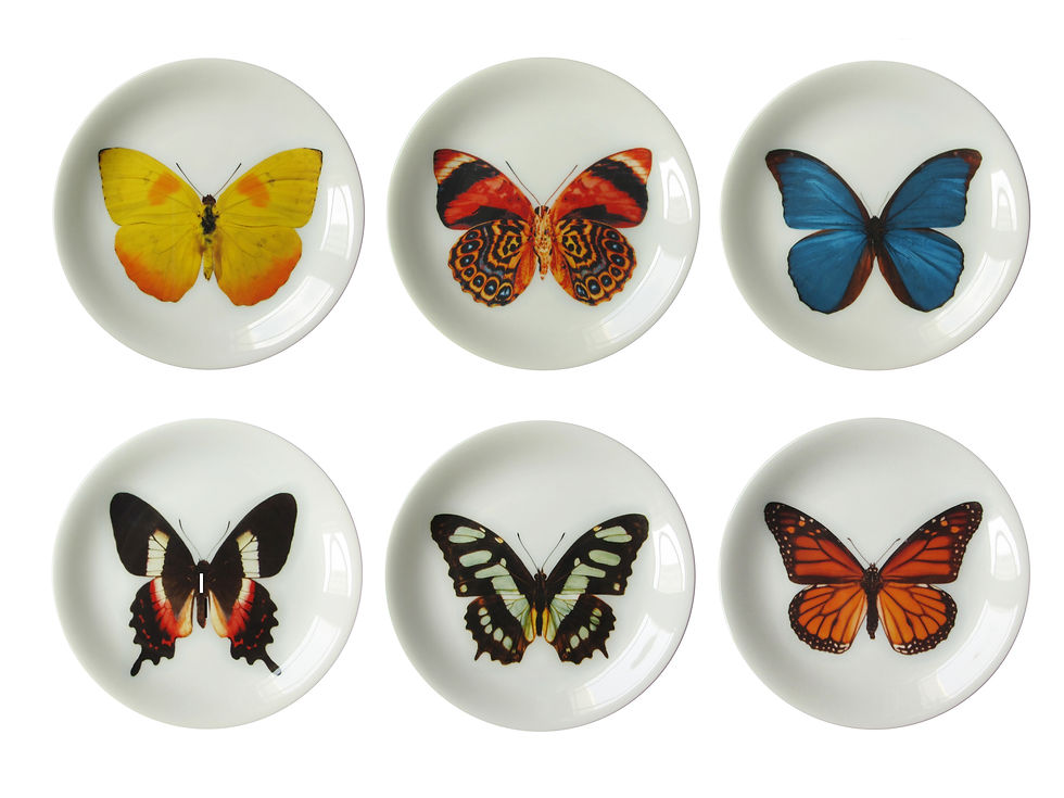 Miniatura: Prato de Sobremesa Borboletas Dandus