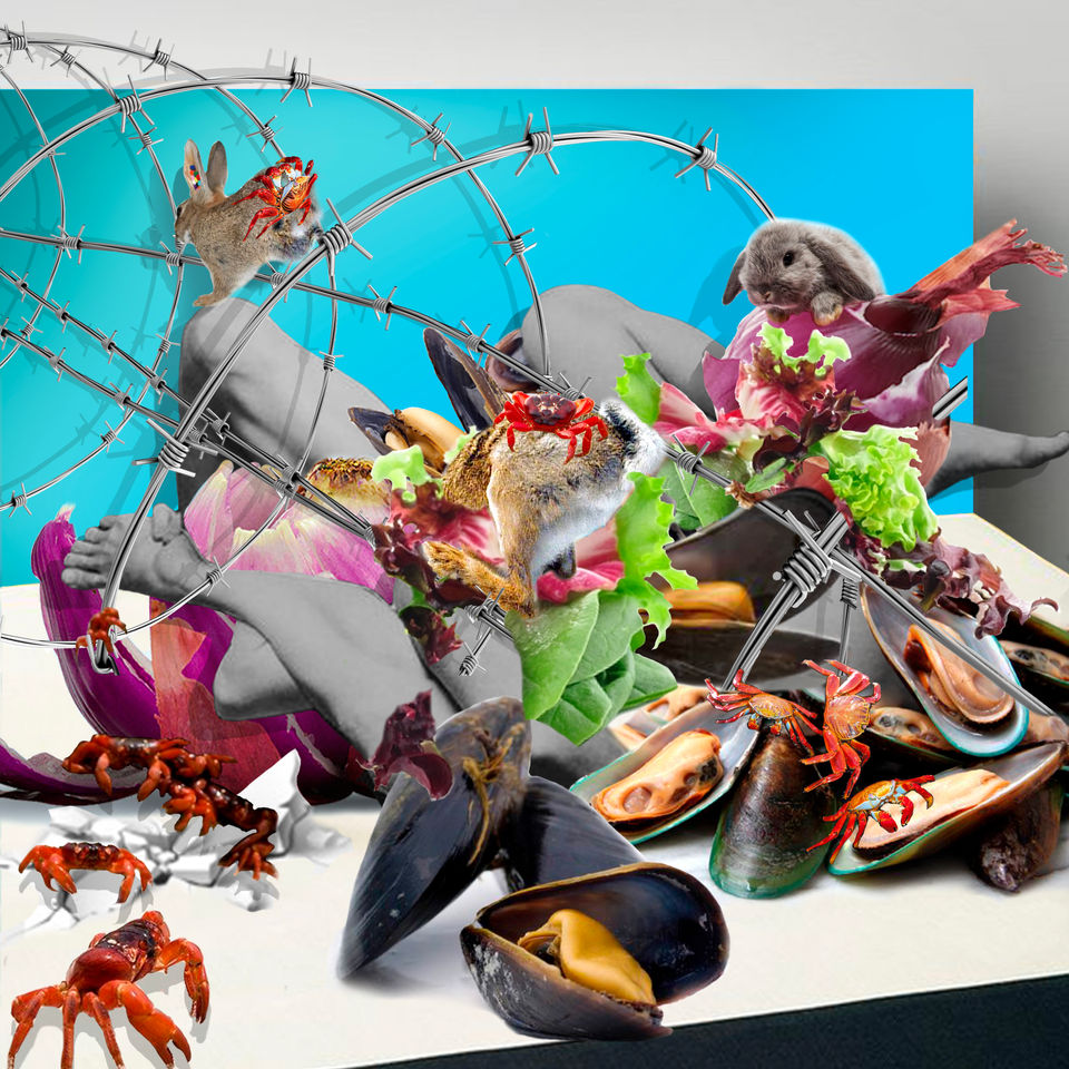 crabs.jpg