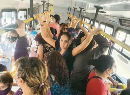 Transporte Universitario