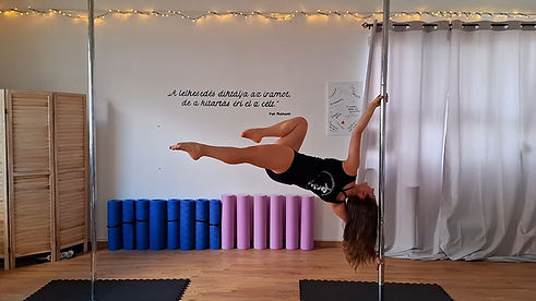 BIA-Polefitness-Studio-1.jpg