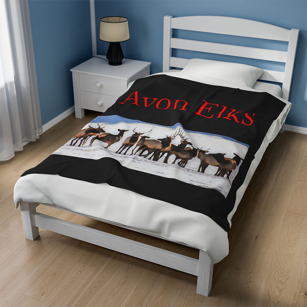 Thumbnail: Velveteen Plush Blanket