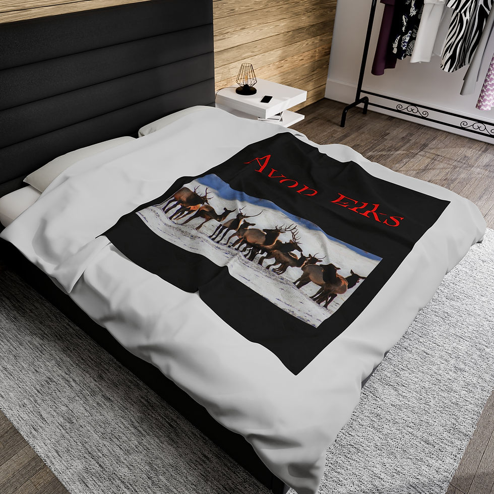 Thumbnail: Velveteen Plush Blanket