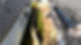 5A40CE87-6594-442F-9836-84AC4AB5DEF7-1_edited_edited.jpg