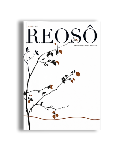 Mockup_reoso_edited.png