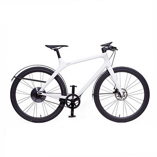 GOGOROEBIKE.jpeg