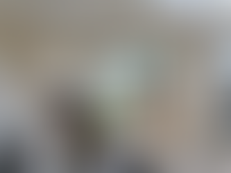 Move-In & Move-Out Painting in Victoria, BC: Rental Wall Restoration Done Right