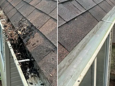 Spring Gutter Cleaning & Exterior Maintenance in Victoria, BC: Prevent Water Damage Before It Starts