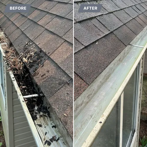 Spring Gutter Cleaning & Exterior Maintenance in Victoria, BC: Prevent Water Damage Before It Starts