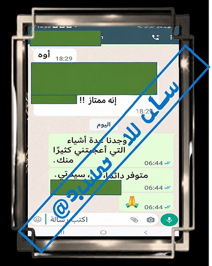 DC 323 ARABE.png