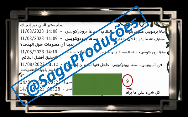 DV 29 ARABE.png