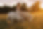 0d02f3a7-61ef-4885-85f6-635d9b6f5b9f_edited.jpg