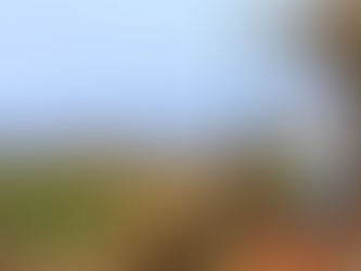 Excitement in the Air: Uganda Awaits!