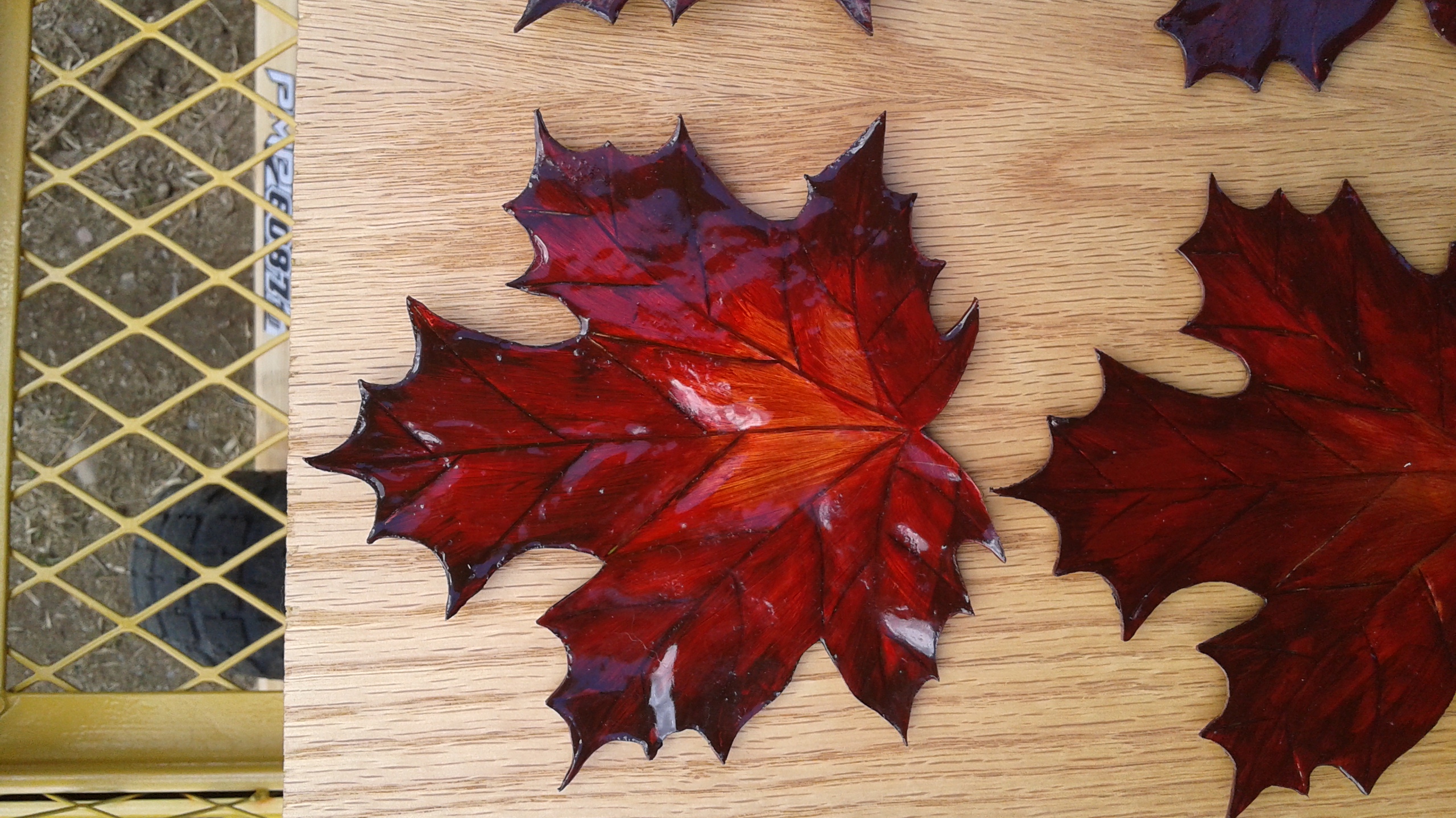 copper maple leaf