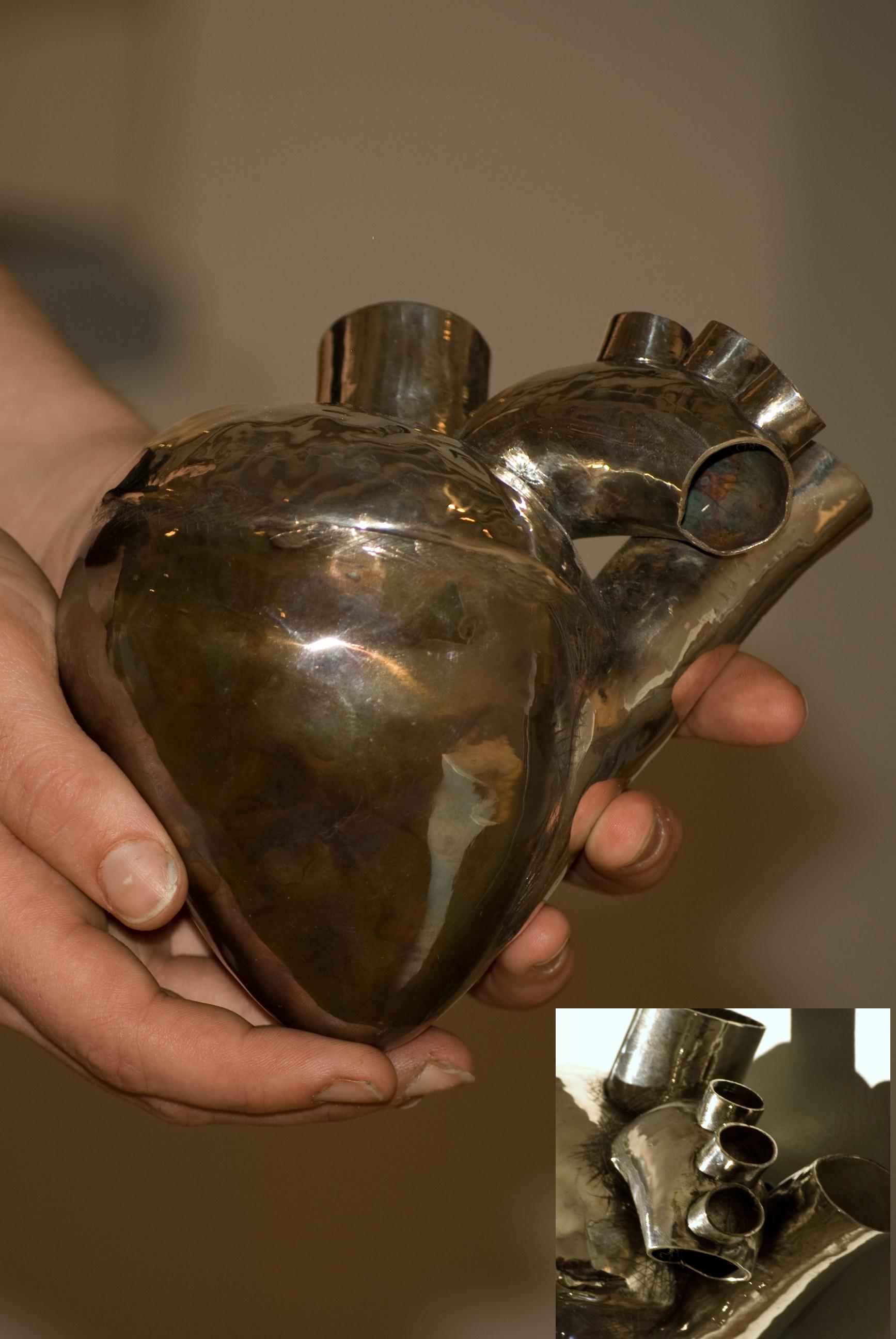 heart