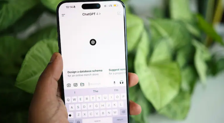 medical emergency evaluation with AI interface
