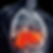 Liver