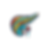 Pancreas 