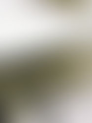 THEATRE: A.M.P. Industry Showcase