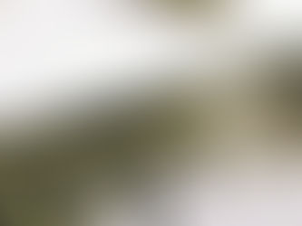 THEATRE: A.M.P. Industry Showcase