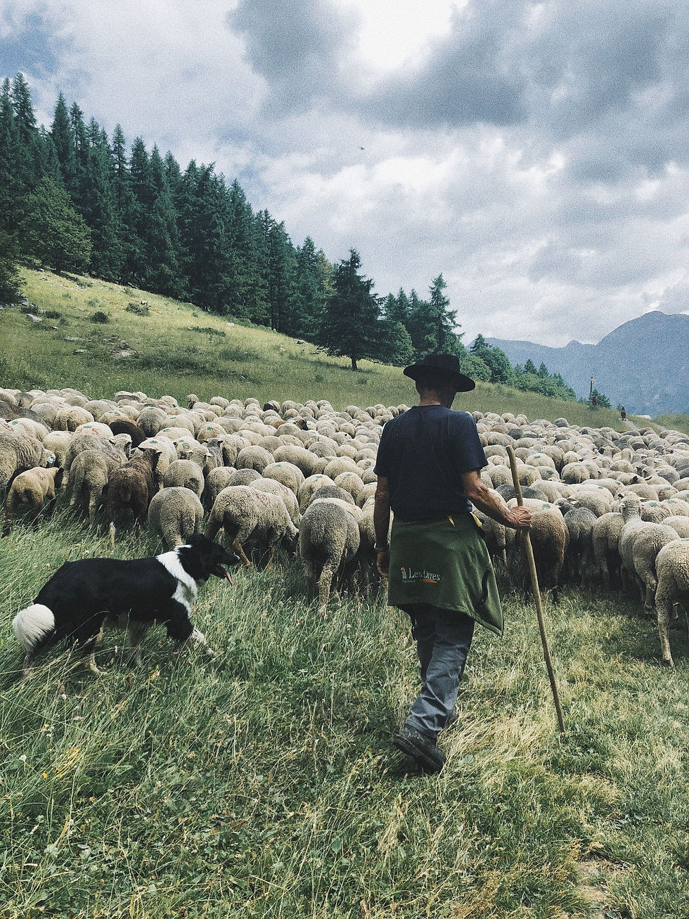 e1a1eebf2380898af86050305c9bfb82 (1).jpg